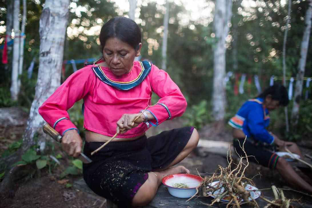 Retiro de Ayahuasca y Dieta de Plantas Maestras en Perú