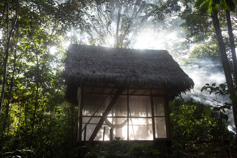 Retiro de Ayahuasca y Dieta de Plantas Maestras en Perú