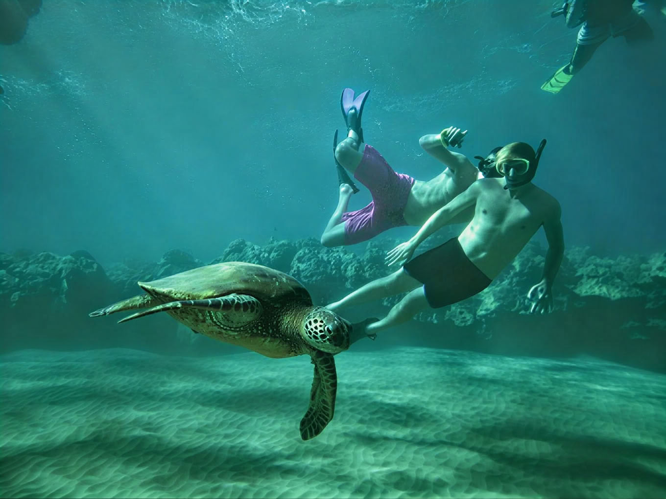 Maui Wellness & Adventure Retreat