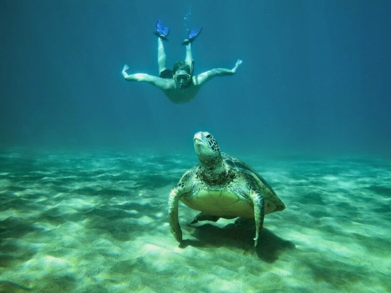 Maui Wellness & Adventure Retreat