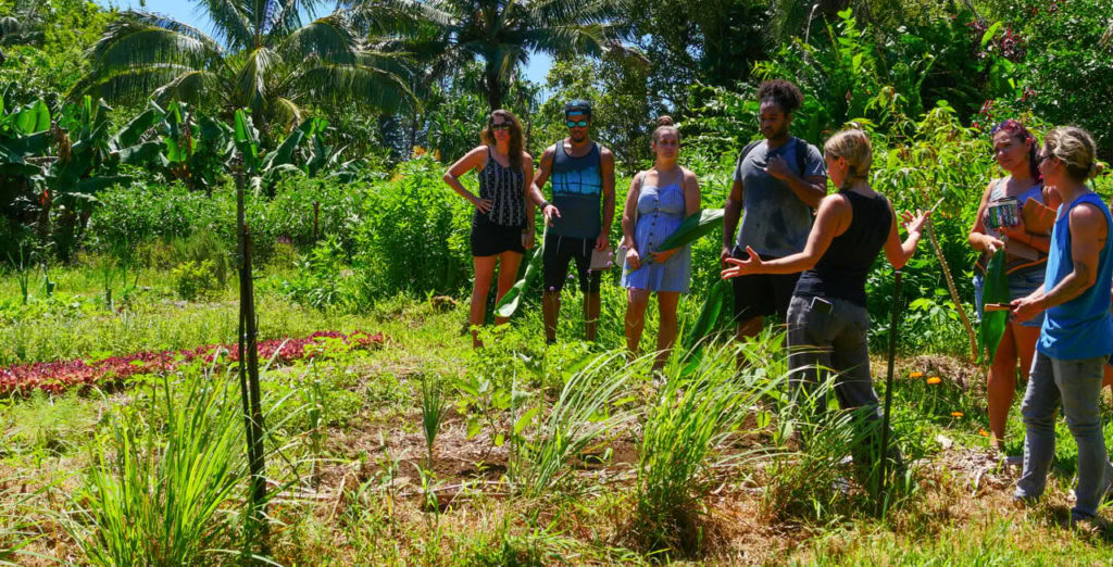Tour por la Granja Aloha Maui