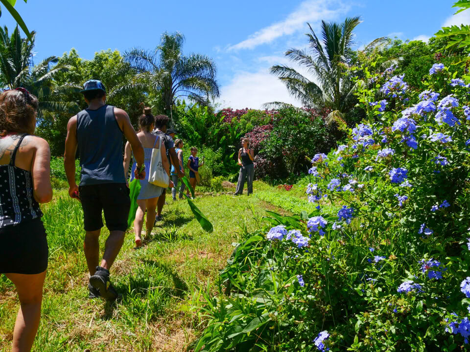 Tour por la Granja Aloha Maui
