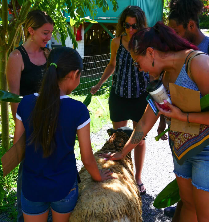 Tour por la Granja Aloha Maui