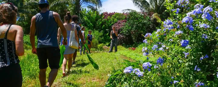 Tour por la Granja Aloha Maui