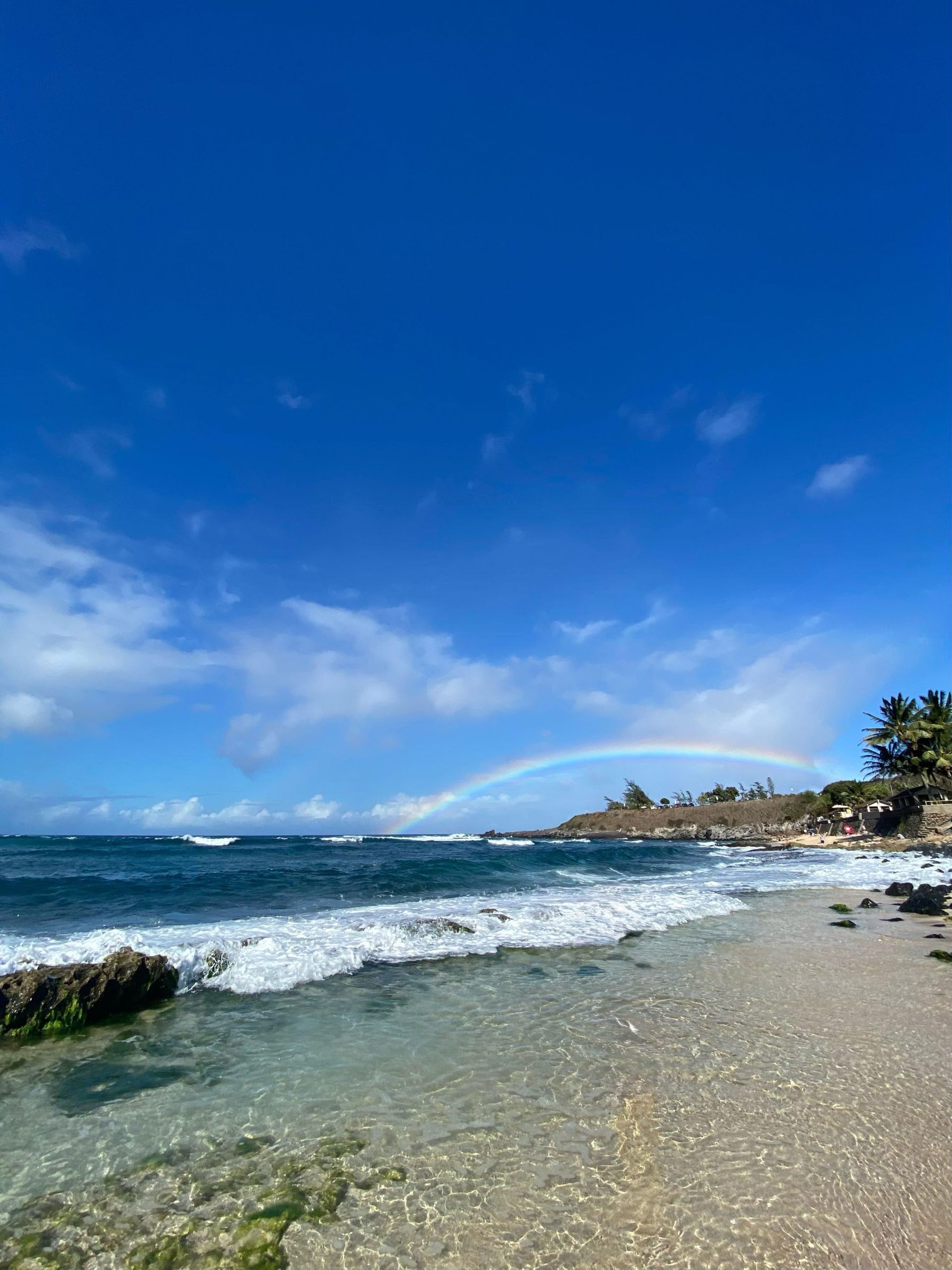 6 días de retiro de IFS y Breathwork en Maui