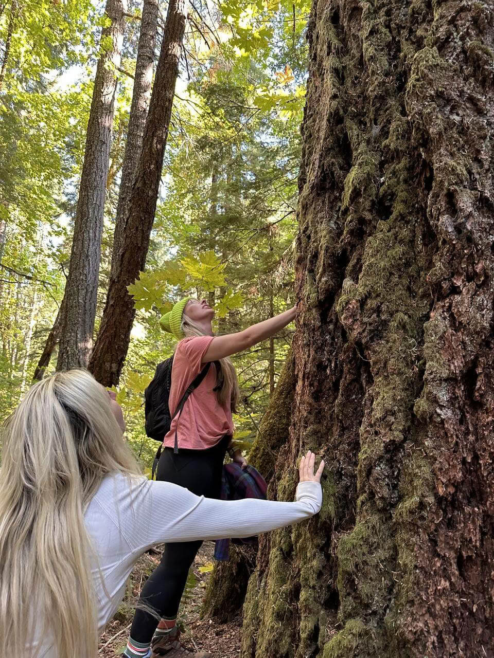 6 días de retiro de IFS y Breathwork en Maui