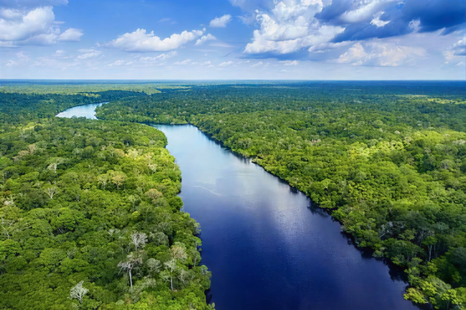 Retiro de Ayahuasca