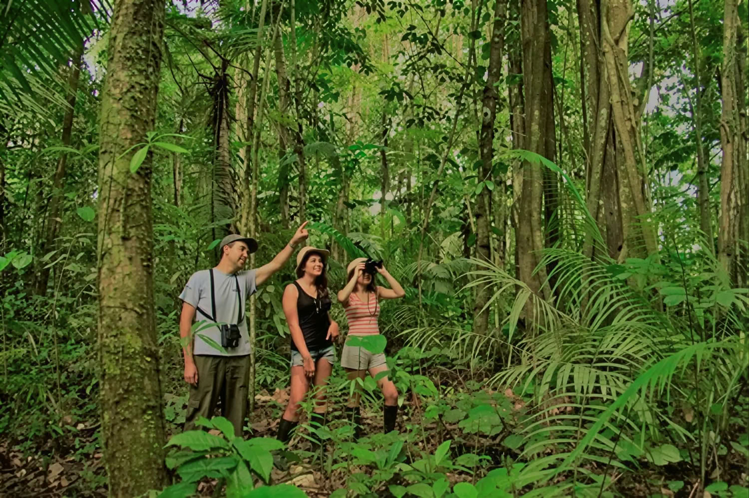 Retiro de Ayahuasca