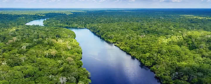 Retiro de Ayahuasca