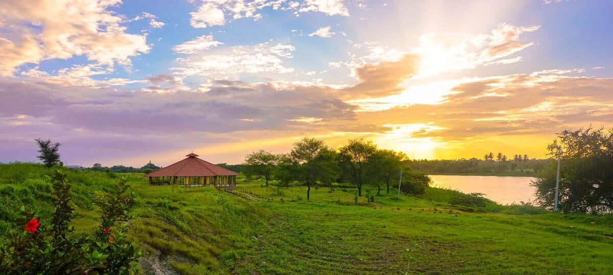 Formación de profesores de yoga de 200 horas en India – 10 de febrero - 10 de marzo de 2027