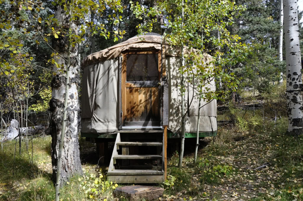 Awake in the Wild (October): Explorando la Sabiduría y el Despertar en la Naturaleza