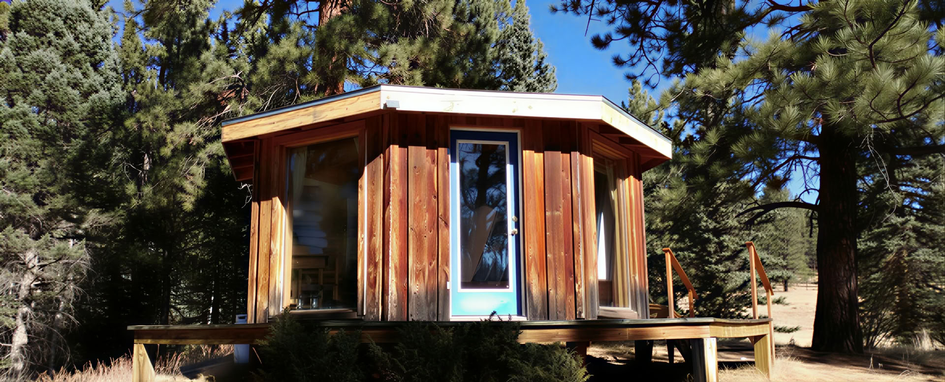 Profundizando nuestra base: cultivando presencia, insight y amabilidad en el bosque profundo