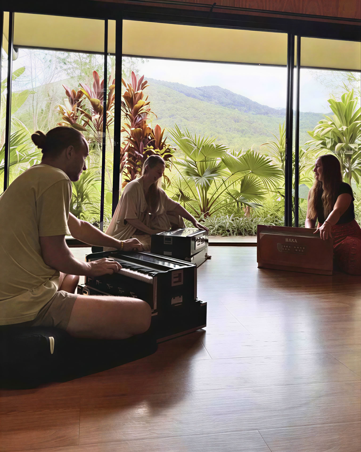 Clase compartida de harmonium - 2 personas (1 hora)
