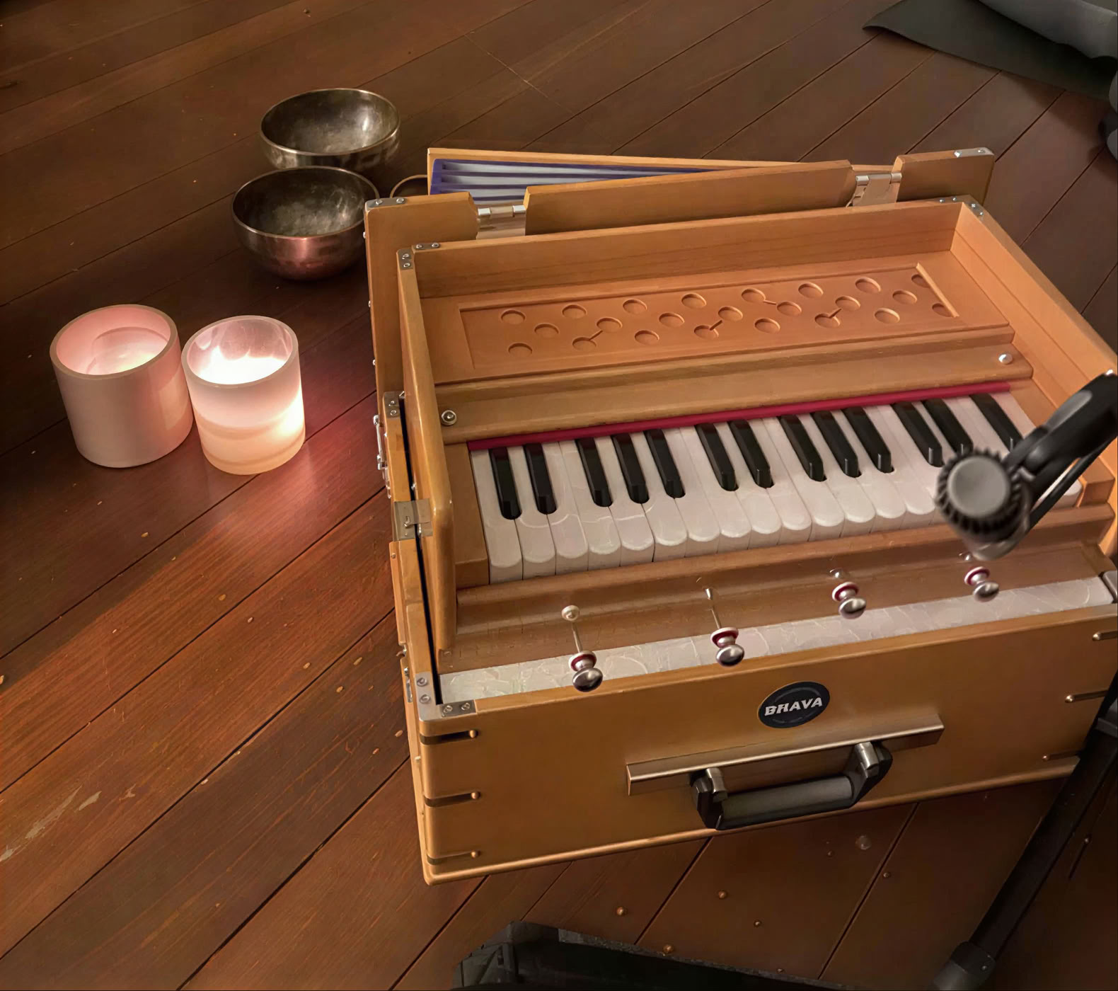 'Aprende a liderar Kirtan' Immersion