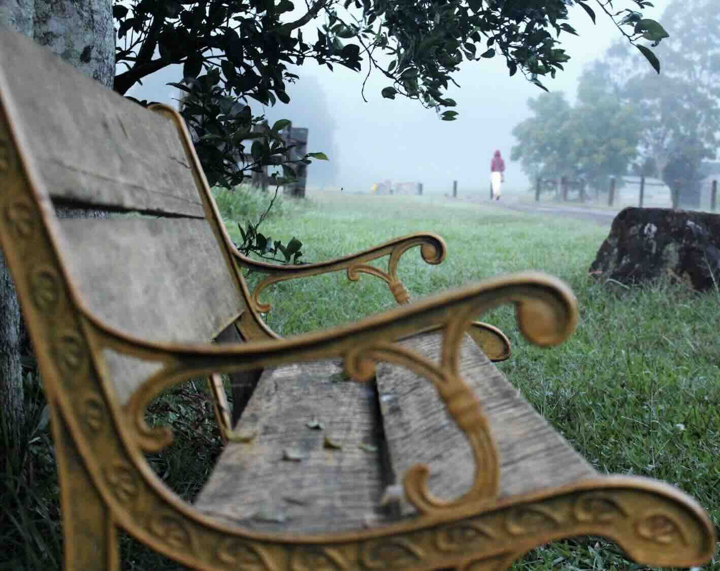 Retiro de Transformación del Duelo