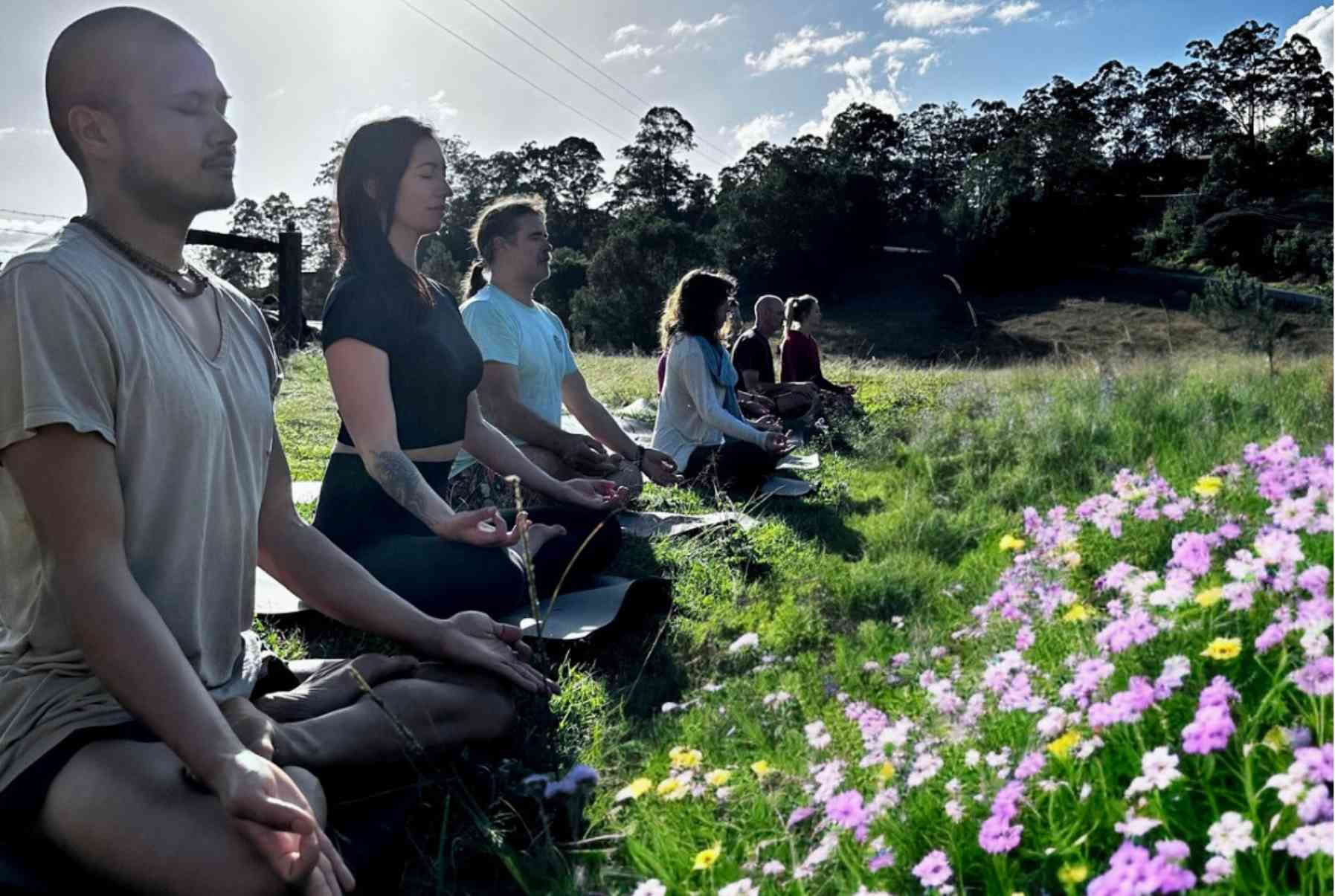 Formación Avanzada de Profesor de Pranayama y Trabajo de Respiración