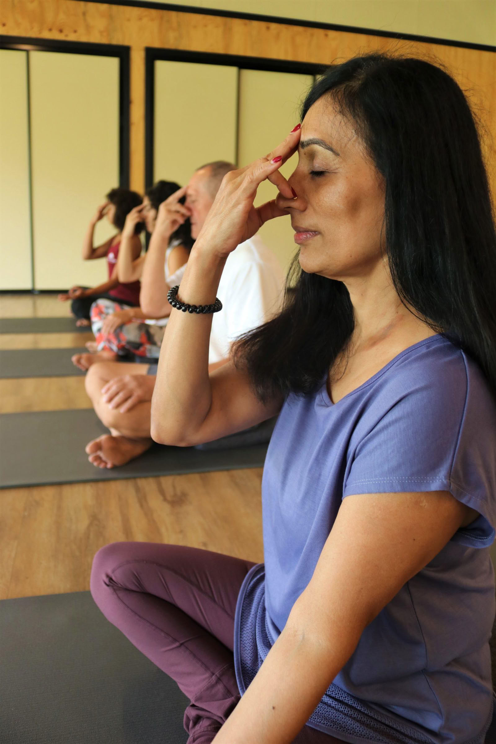 Formación Avanzada de Profesor de Pranayama y Trabajo de Respiración