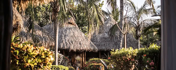 Retiro de Medicina del Bosque