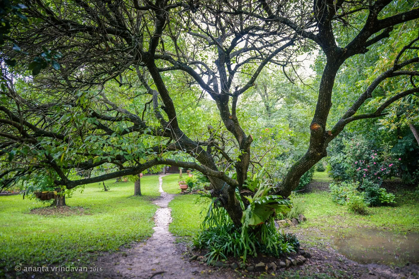 Retiro de bienestar salvaje para mujeres