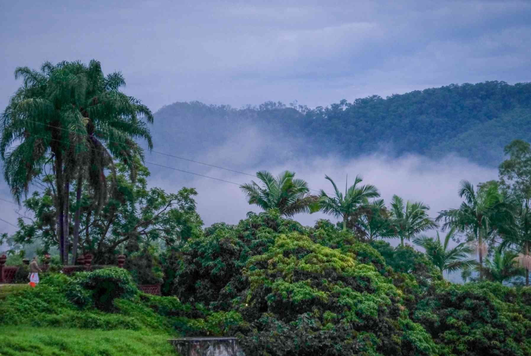 Retiro de bienestar salvaje para mujeres
