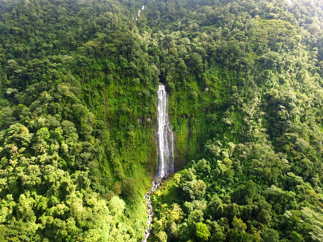 Río de la Vida