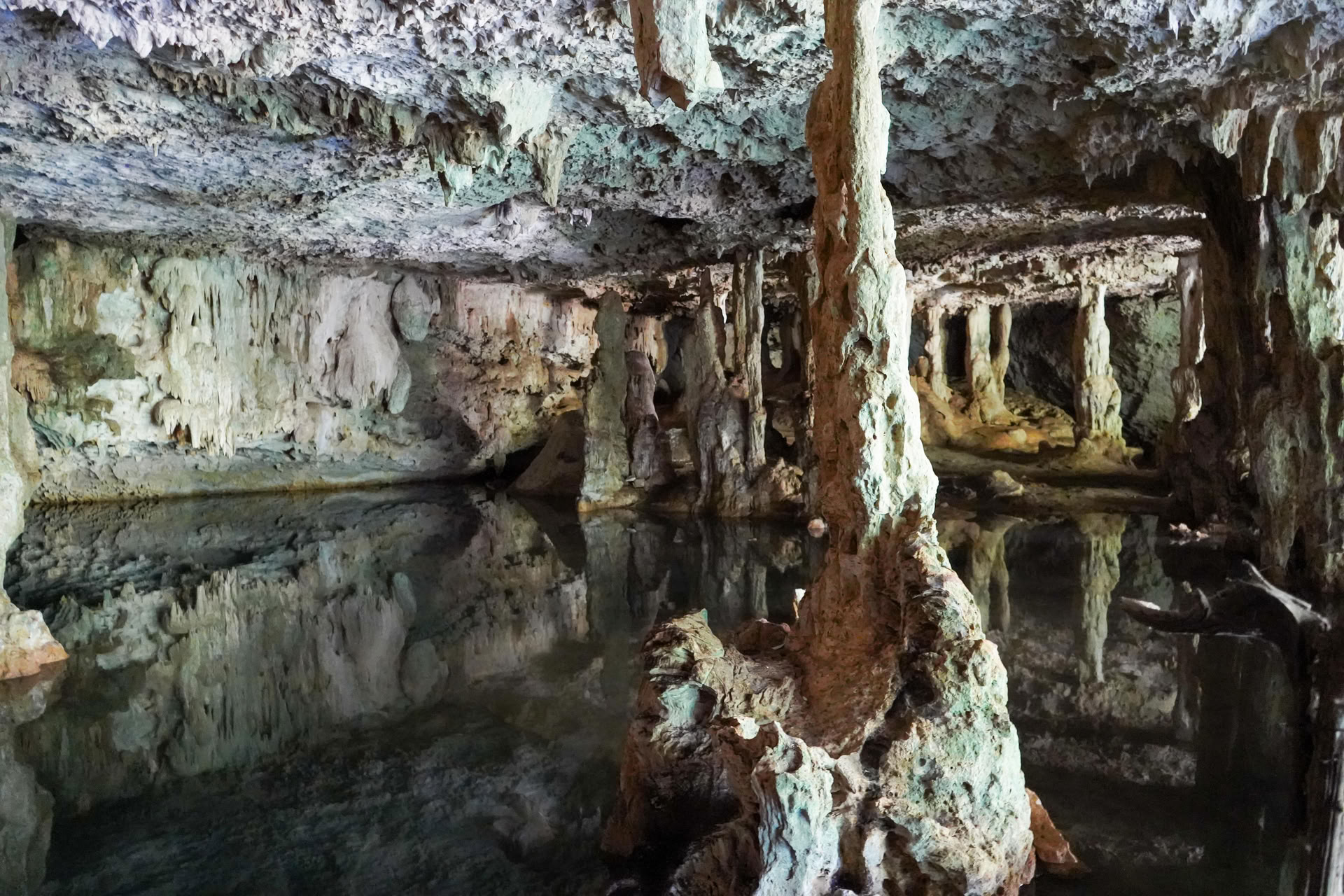 Tour de integración a un cenote privado
