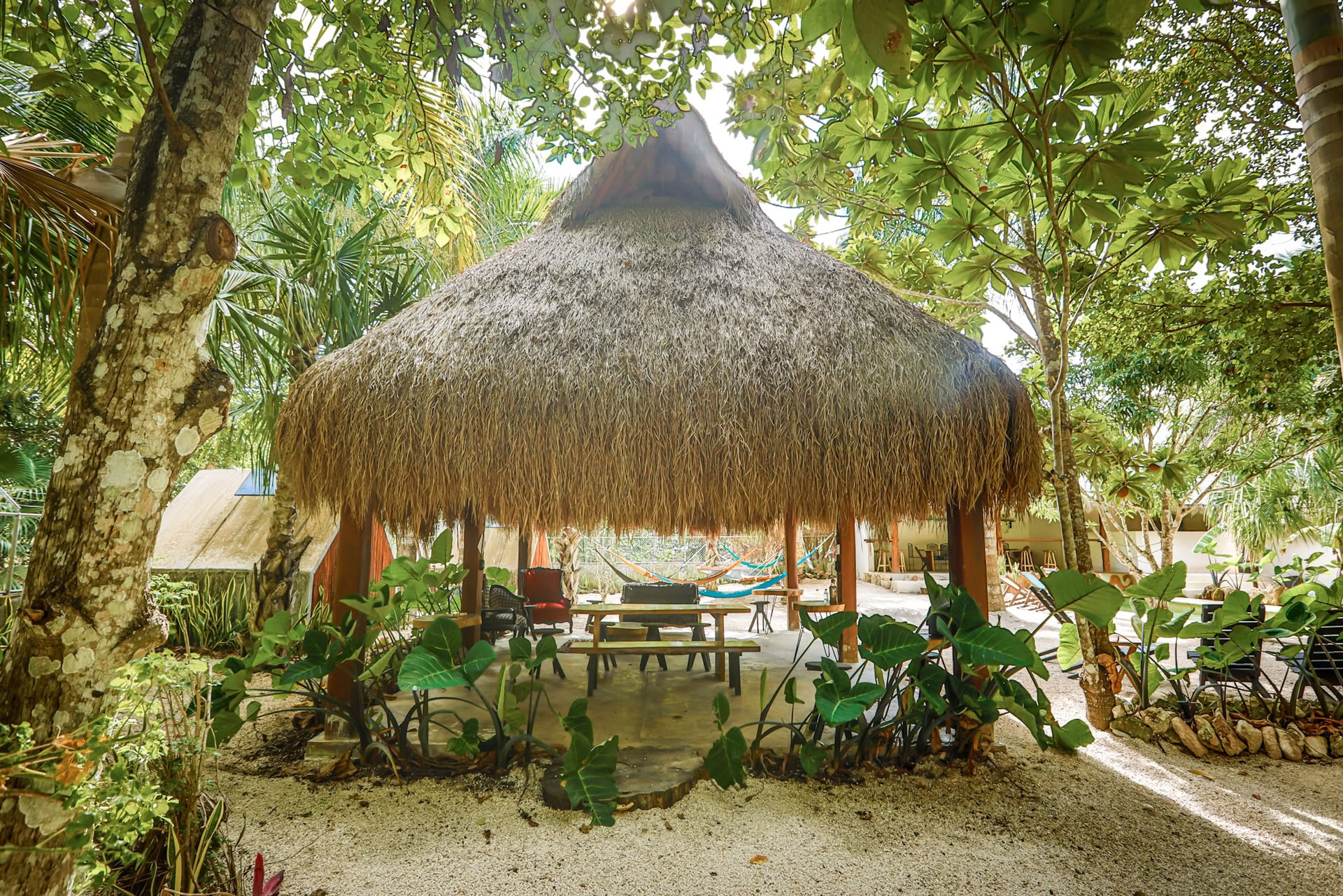 Paquete Bufo Lagoon (2 noches, Bacalar)