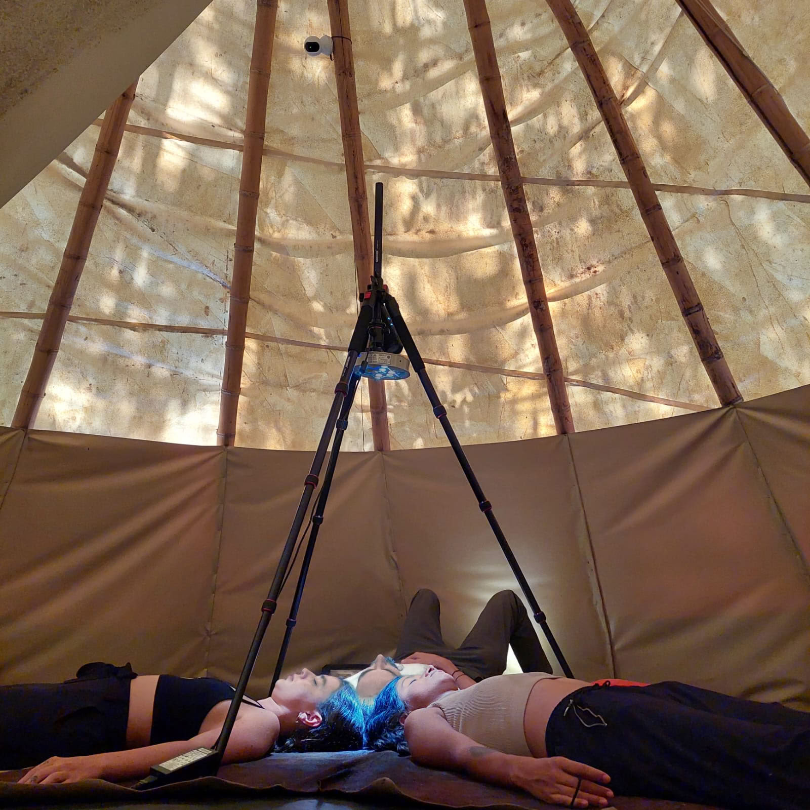 Terapia guiada de ibogaína (4 noches)