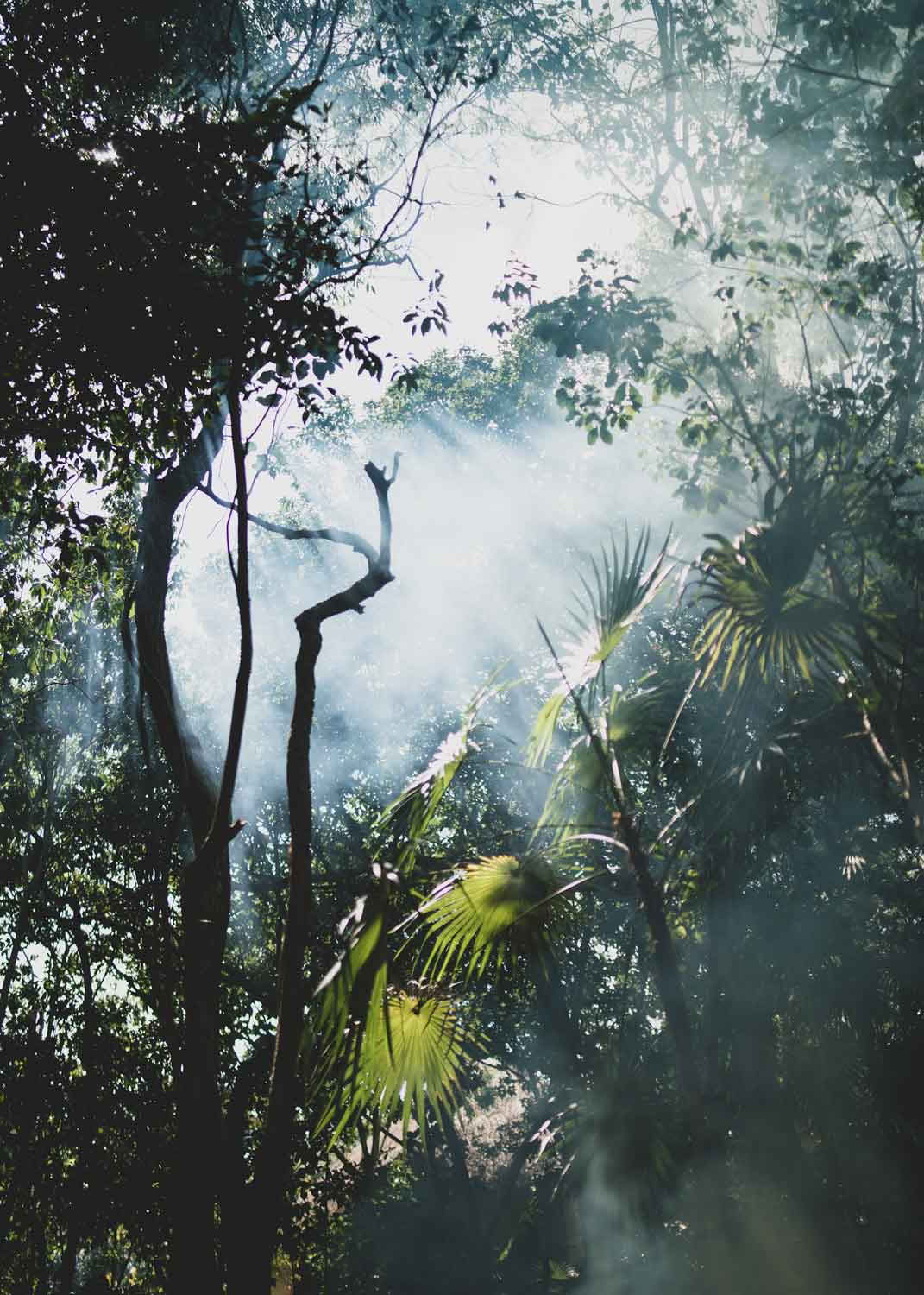 Sacred Flow Retiro – 12th - 19th December 2026