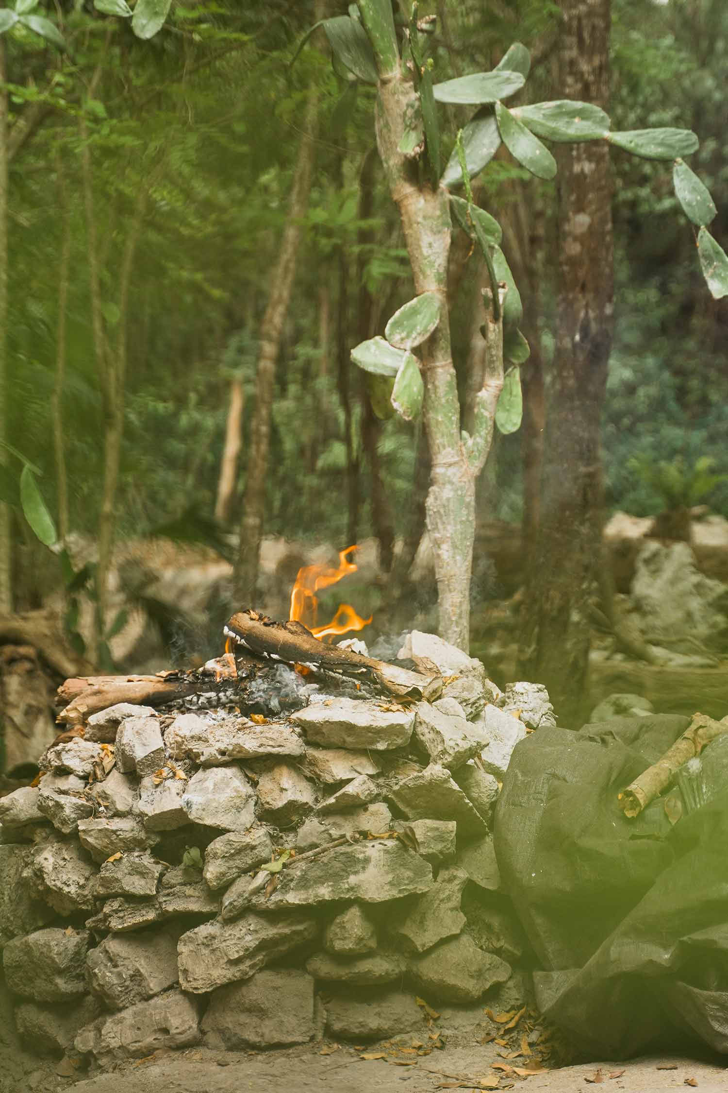 Sacred Flow Retiro – 9 - 16 de enero de 2027