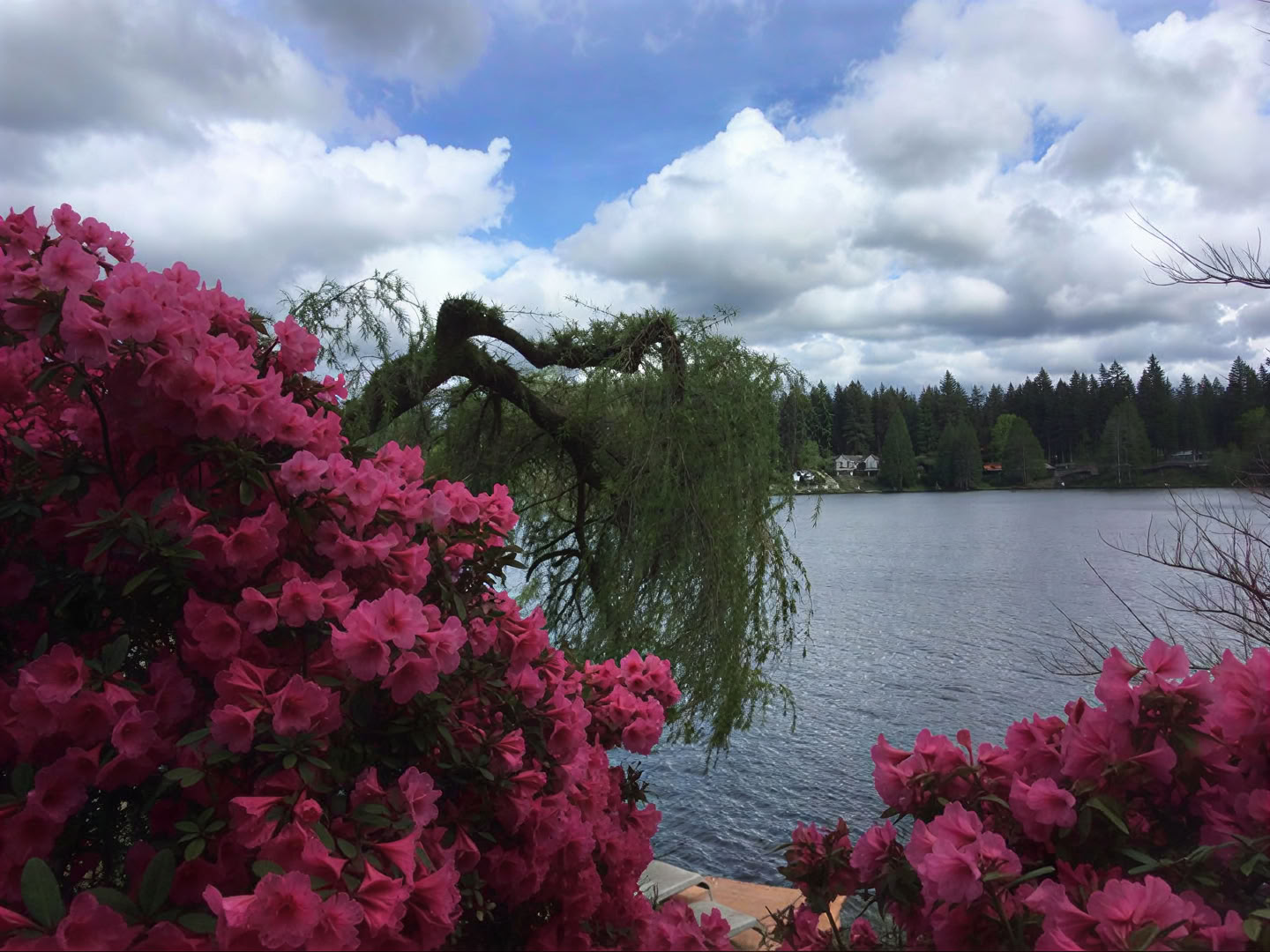 Cottage Lake Bed and Breakfast Retiro Espiritual