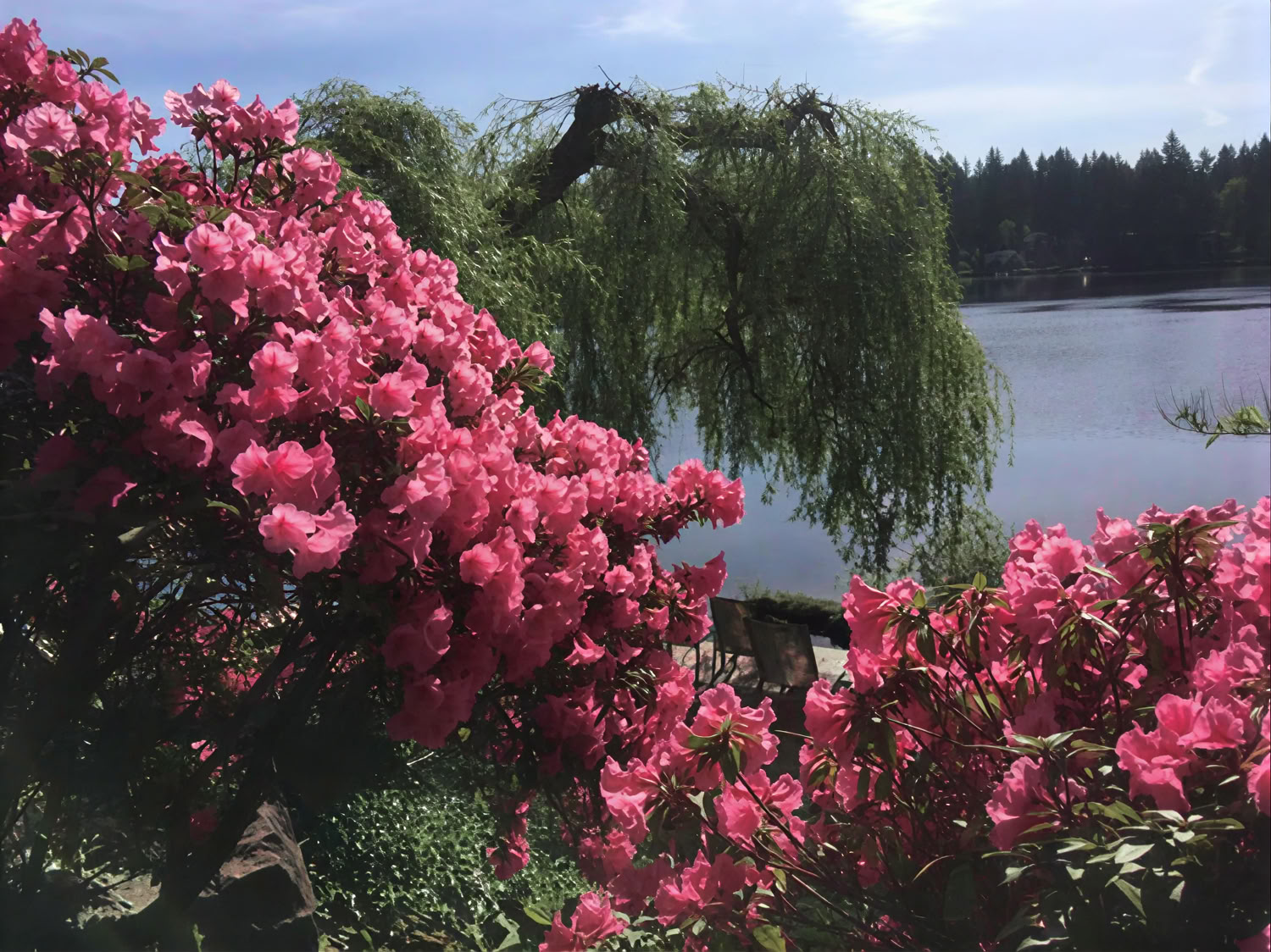 Cottage Lake Bed and Breakfast Retiro Espiritual
