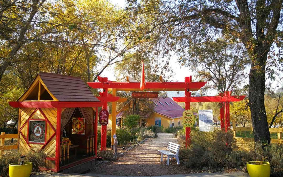 Ashram Sacred Tour – Introducción al Yoga Sivananda