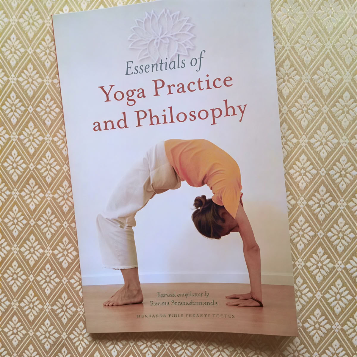 Retiro de Meditación en la Vida Diaria