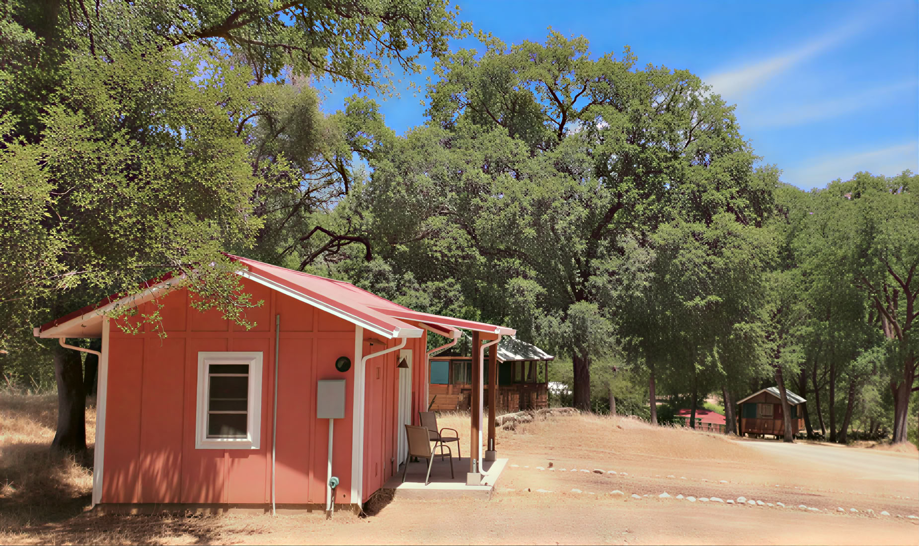 Desintoxicación y ayuno de jugos