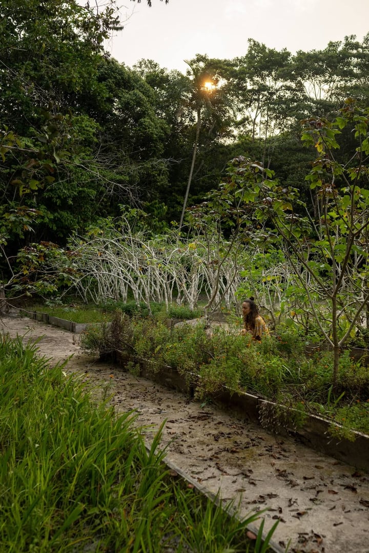 Retiro de iniciación (7 días)