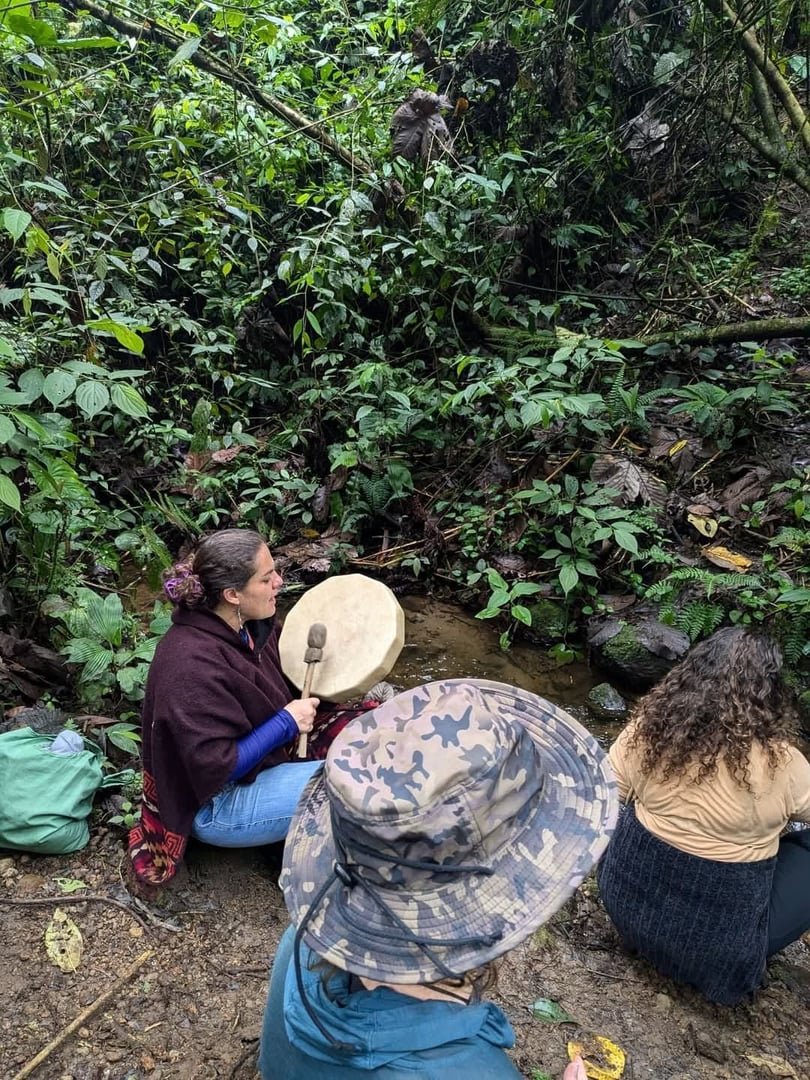 3 días - Retiro de San Pedro y Ayahuasca
