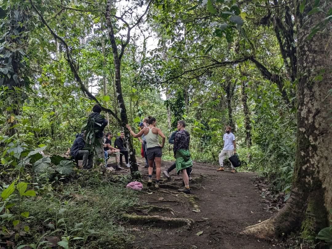 3 días - Retiro de San Pedro y Ayahuasca