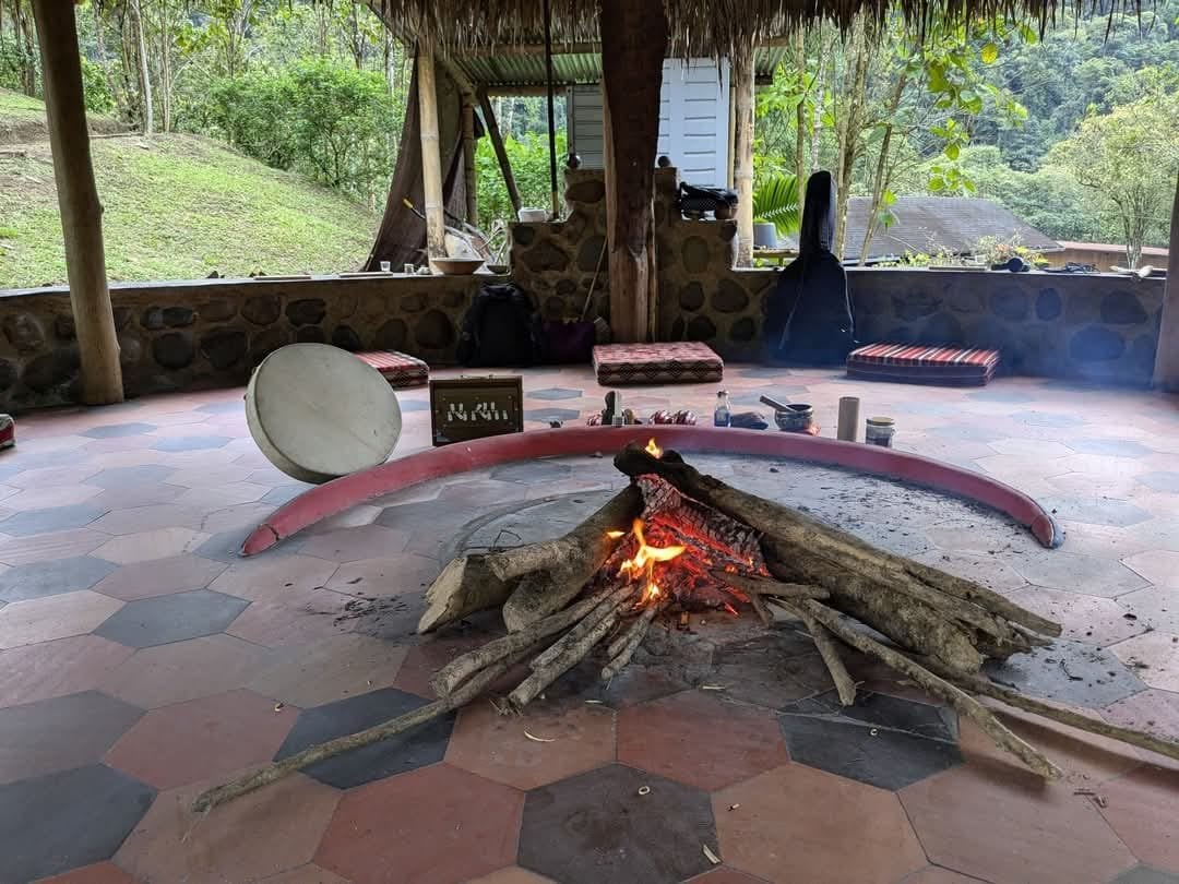 Ceremonia de Ayahuasca a la luz del día en Hayulima Natural Reserve