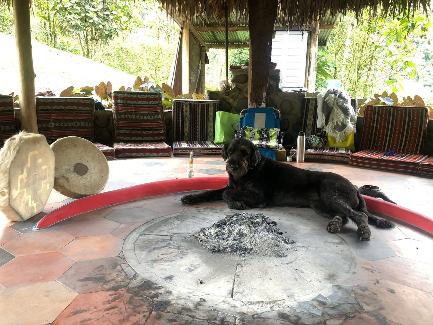 Ceremonia de Ayahuasca a la luz del día en Hayulima Natural Reserve