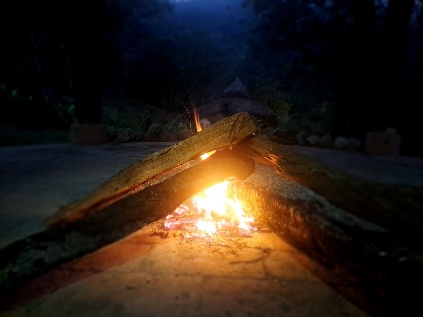 Ceremonia de Ayahuasca a la luz del día en Hayulima Natural Reserve
