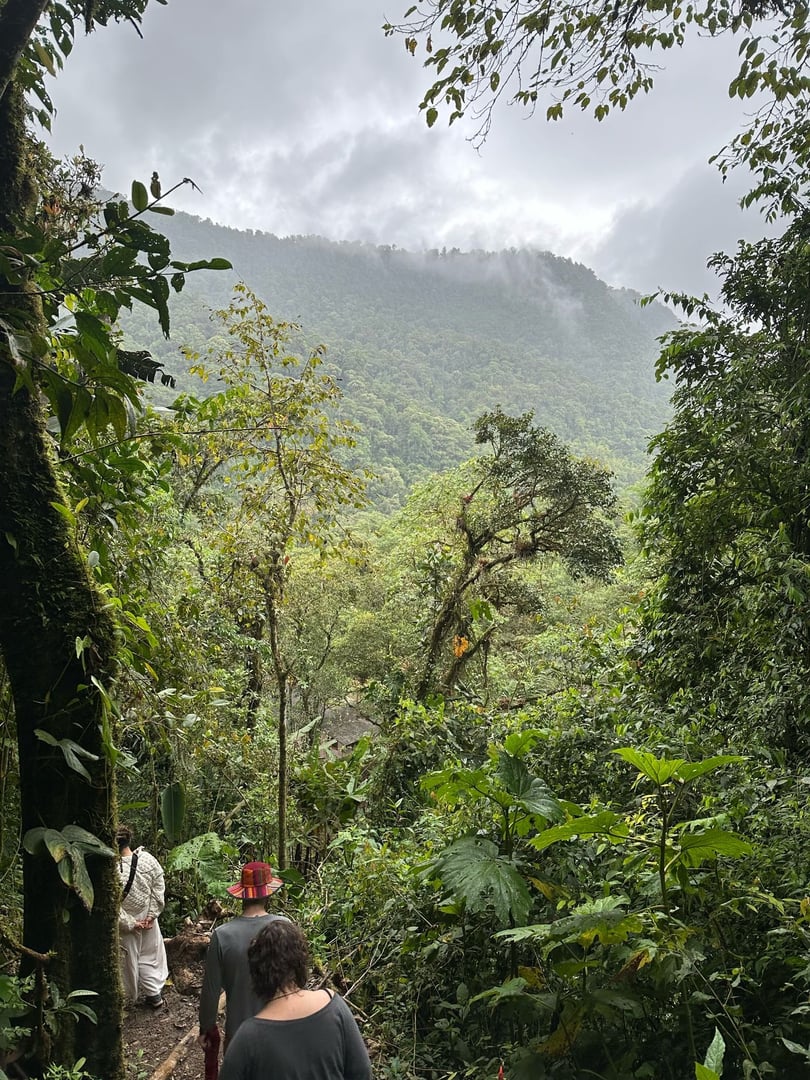 Ceremonia de Ayahuasca a la luz del día en Hayulima Natural Reserve