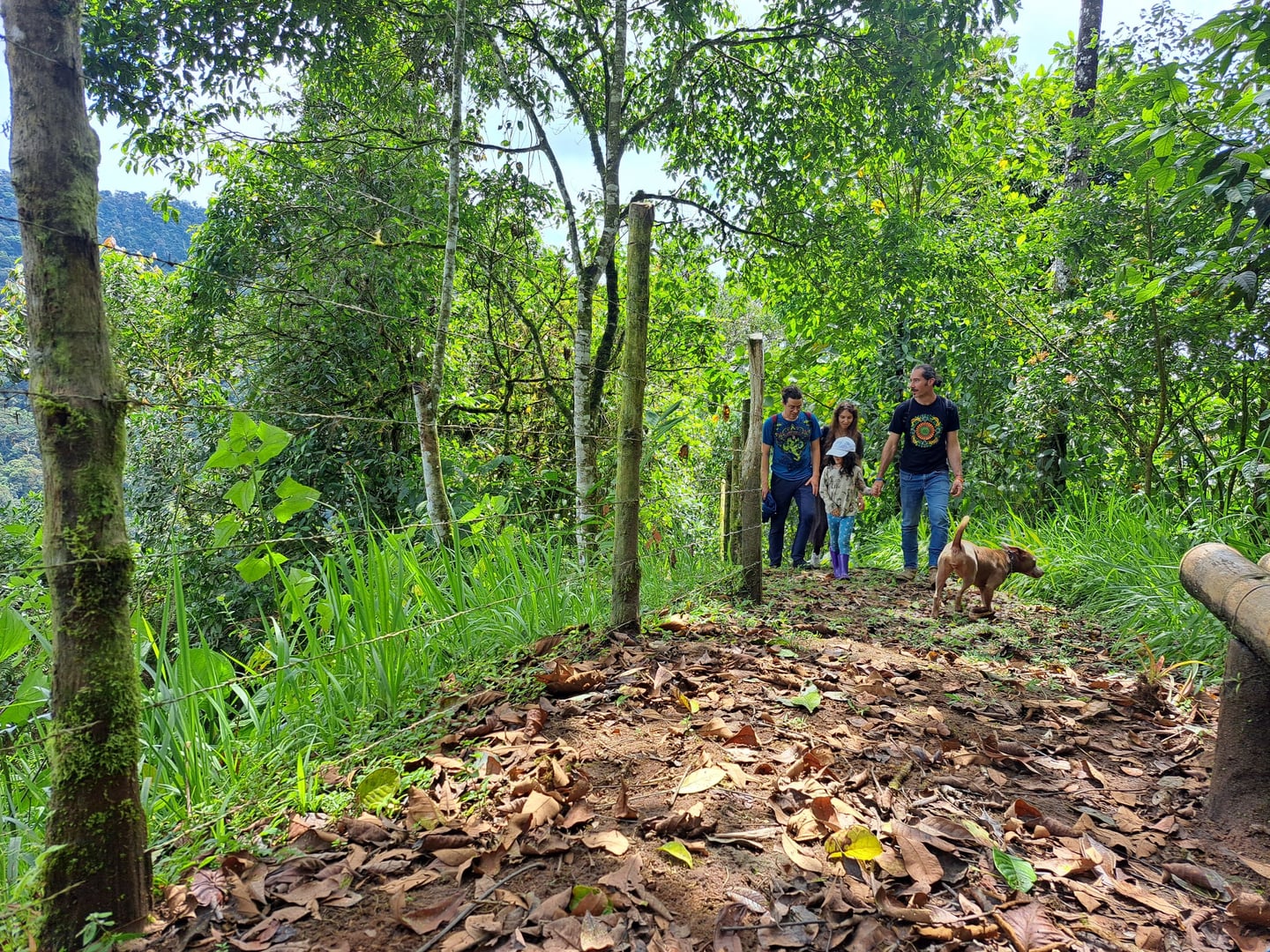 10 días de retiro en Hayulima Natural Reserve