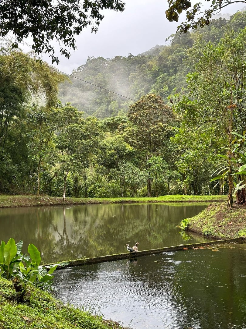 10 días de retiro en Hayulima Natural Reserve