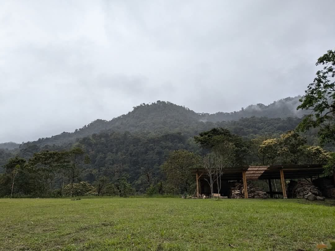 10 días de retiro en Hayulima Natural Reserve