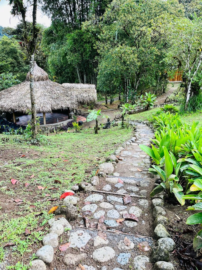 10 días de retiro en Hayulima Natural Reserve