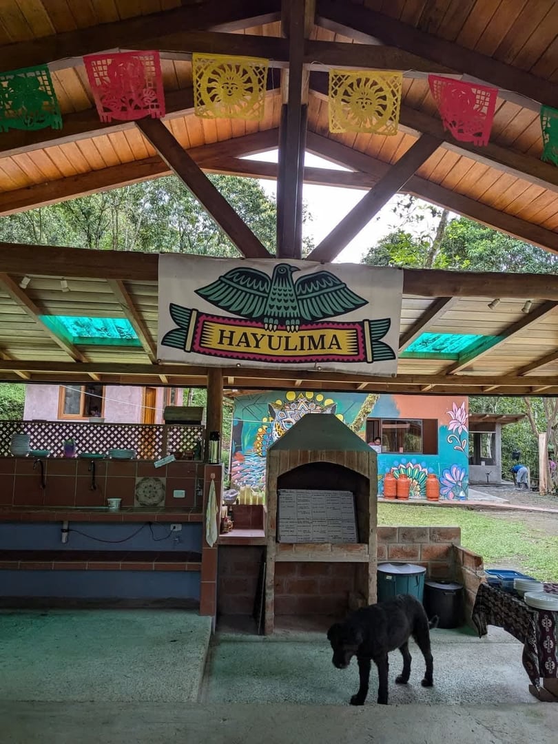 3 días – San Pedro y Ayahuasca – Viaje de fin de semana