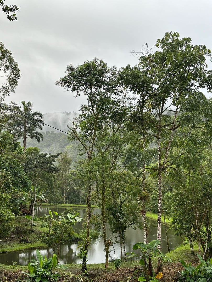 3 días – San Pedro y Ayahuasca – Viaje de fin de semana
