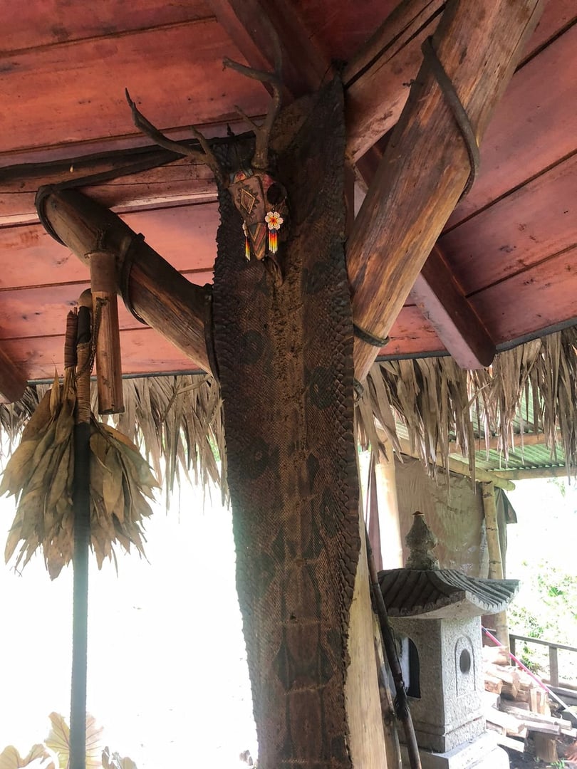 Ceremonia de Ayahuasca en Hayulima Natural Reserve – 11 de julio de 2026