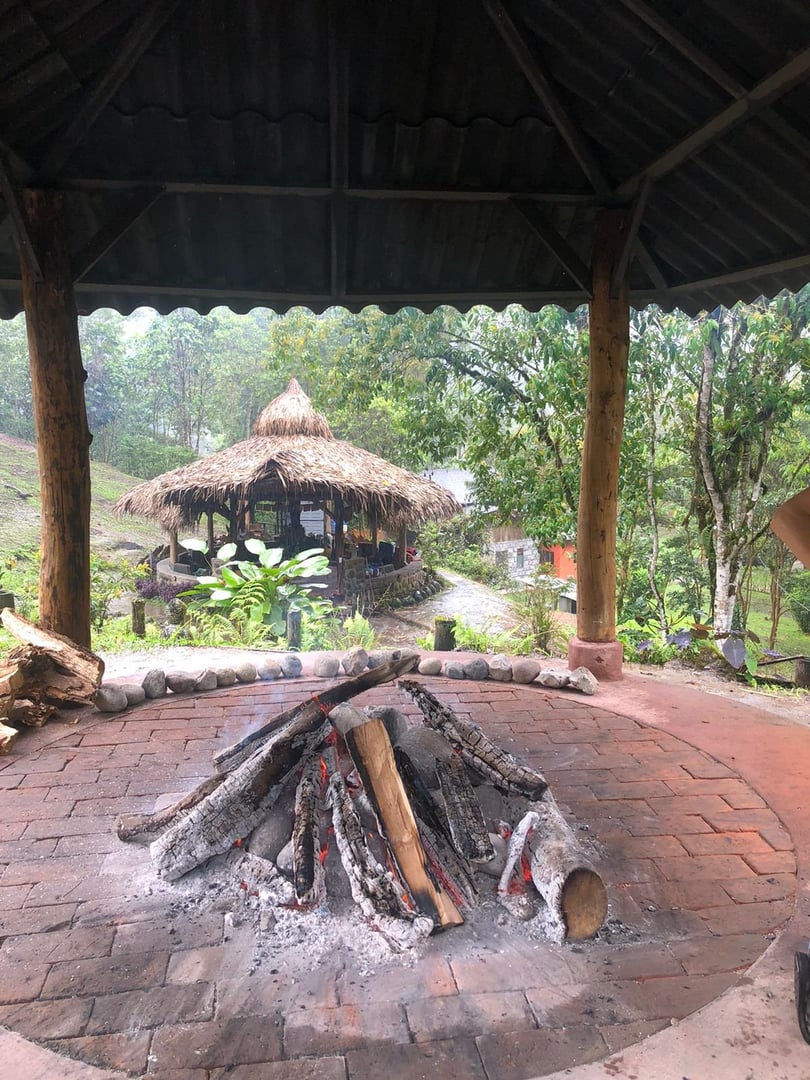 Ceremonia de Ayahuasca en Hayulima Natural Reserve – 11 de julio de 2026